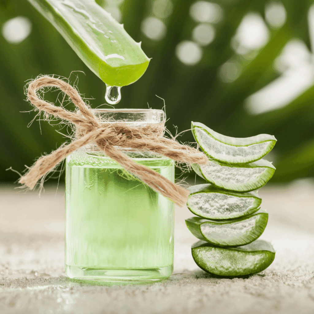 Aloe Vera